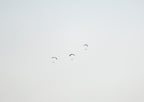 Airborne