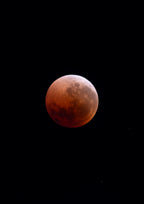 Bloodmoon