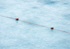 Blurred Line