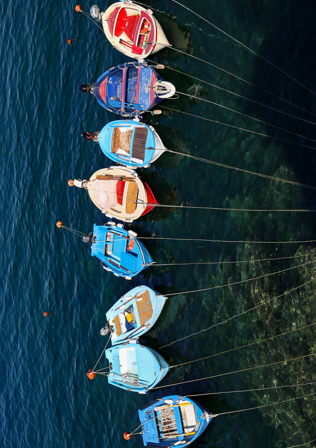 Boat Bonanza