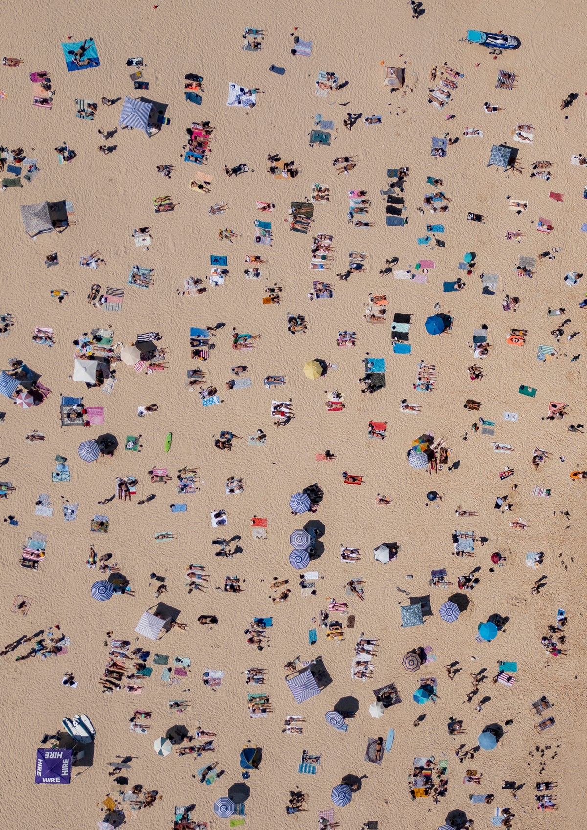 Bondi Basking