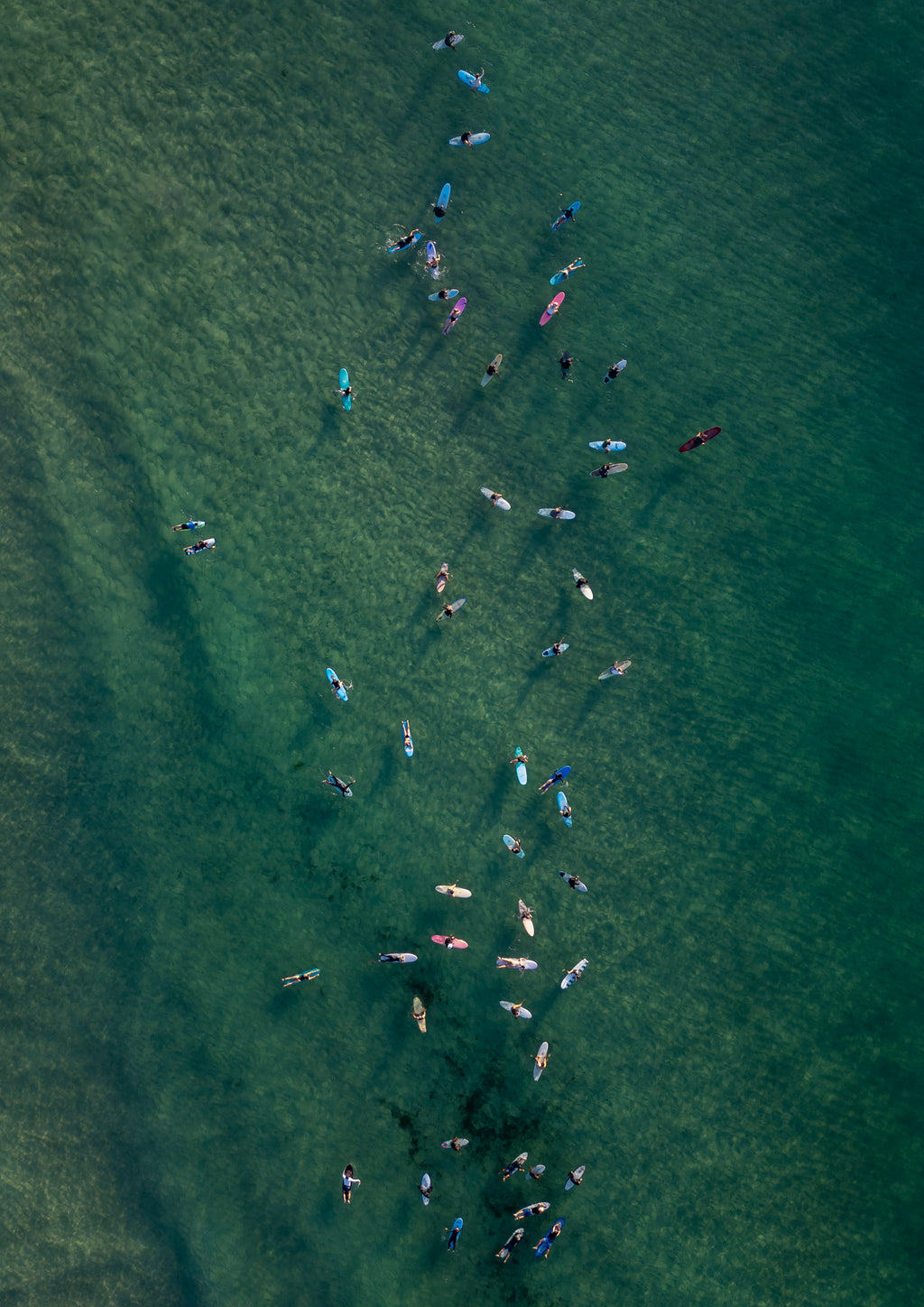 Bondi Frontline