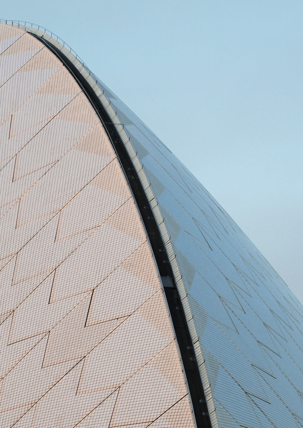 Curve