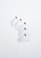 The Swiss Air Force (Patrouille Suisse) in a formation during a flyover