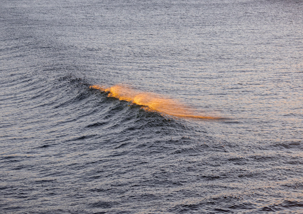 Golden Spray