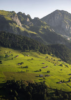 Grass is Greener