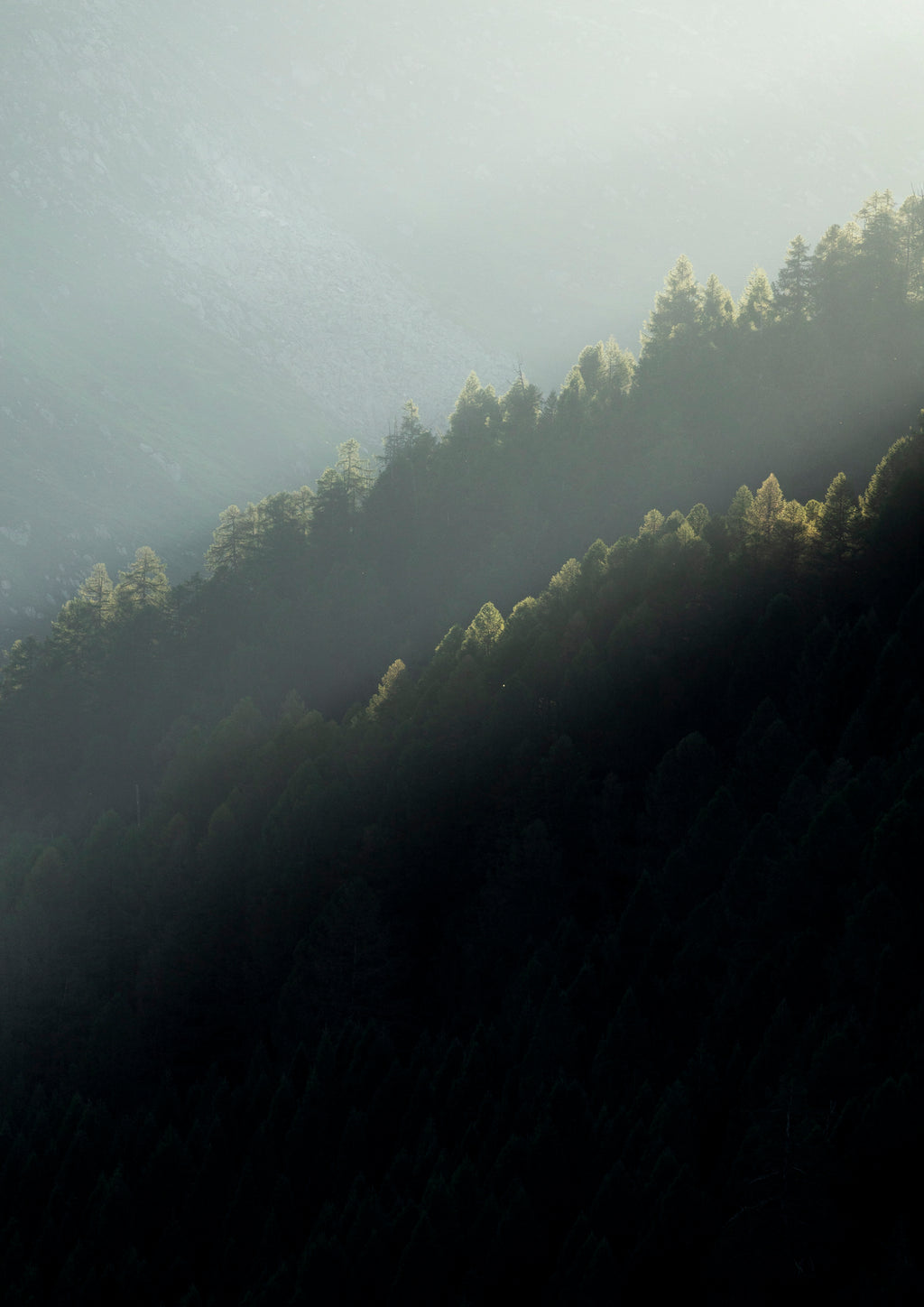 Lightfall