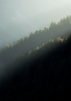 Lightfall
