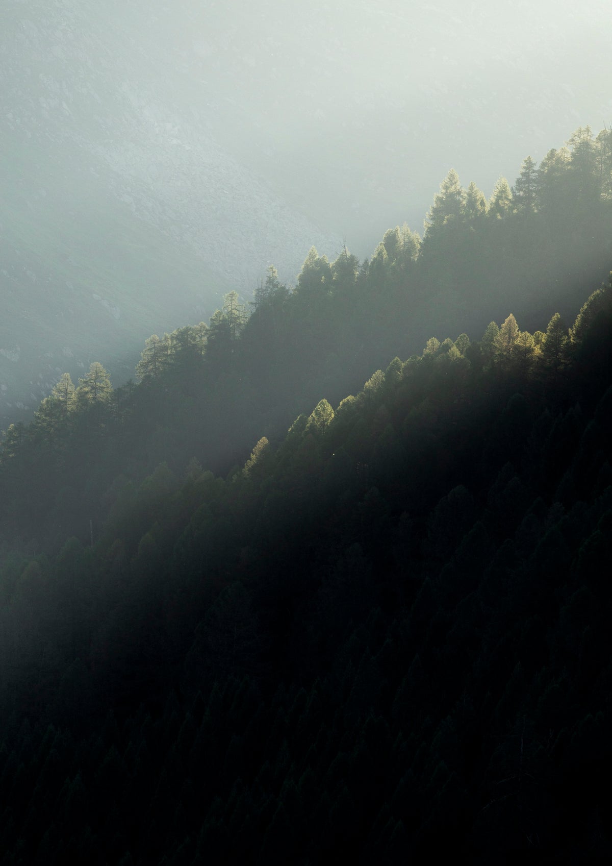Lightfall