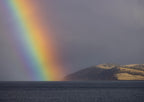 Over the Rainbow