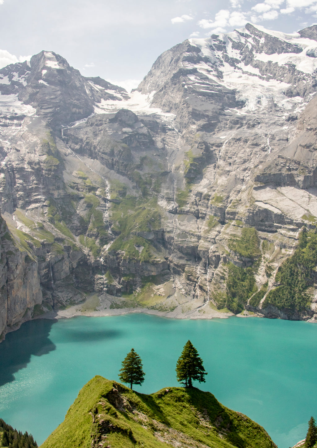 Pair of Pines