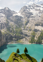 Pair of Pines