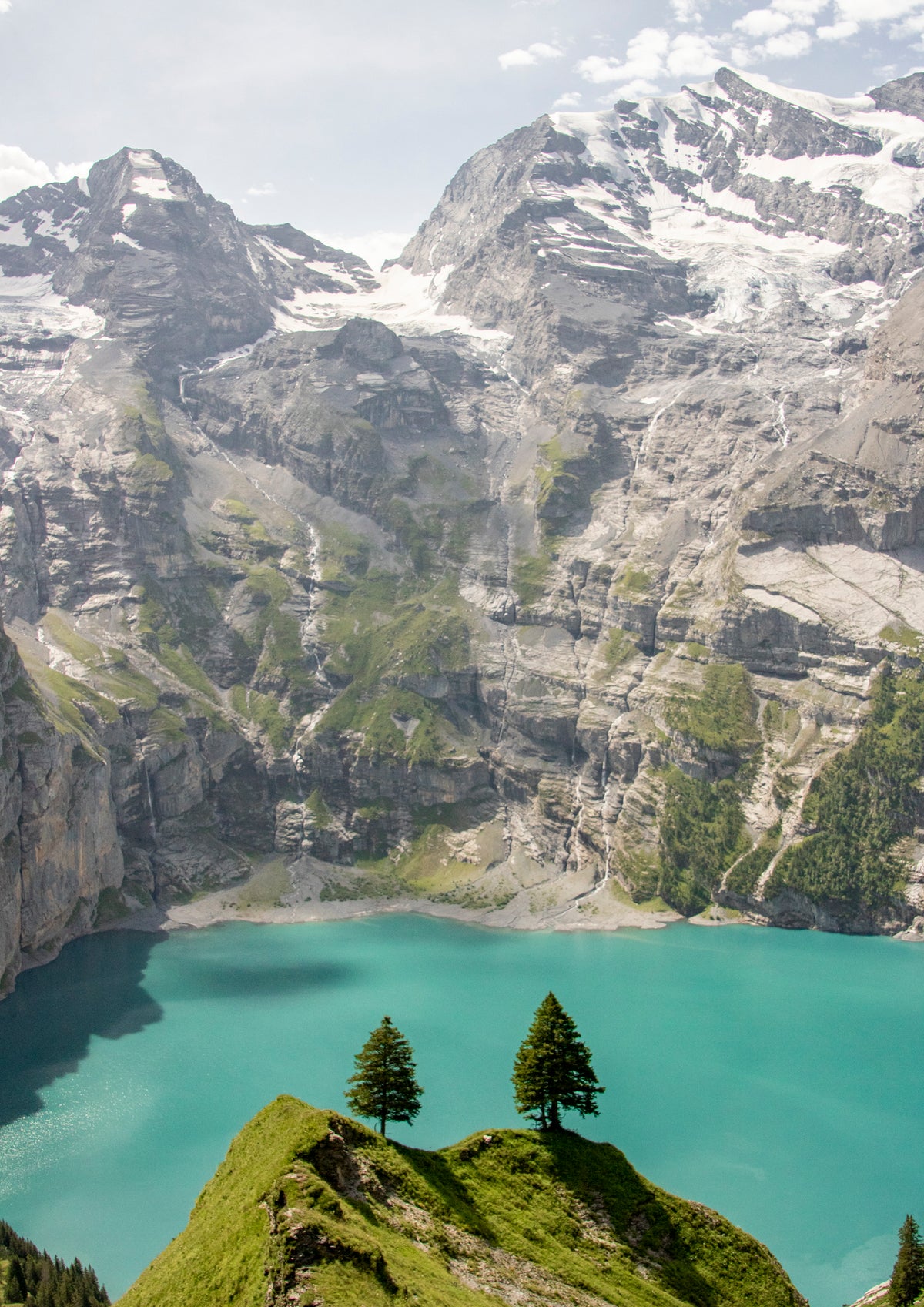 Pair of Pines