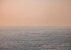 Pastel Pursuit