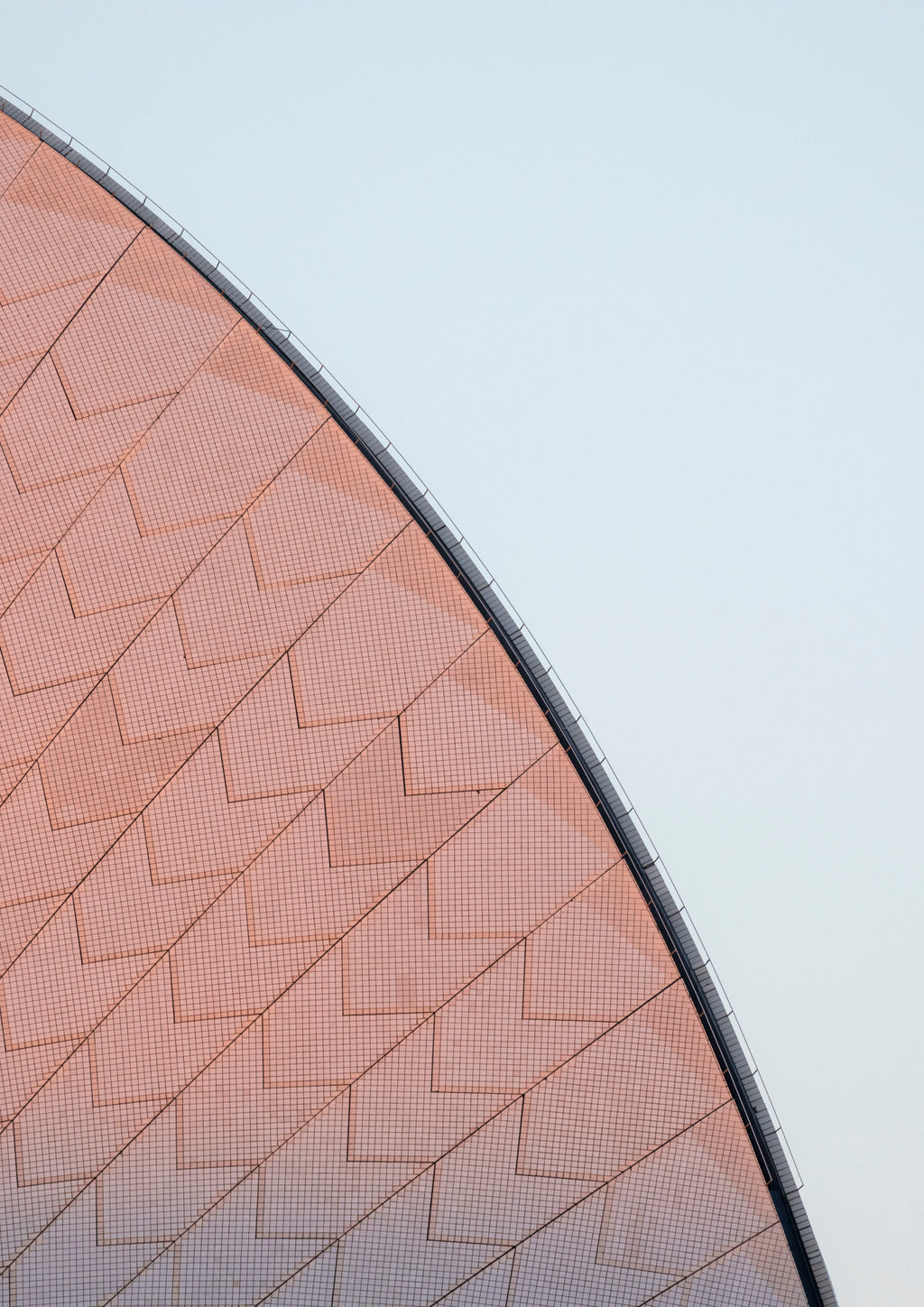Pink Profile
