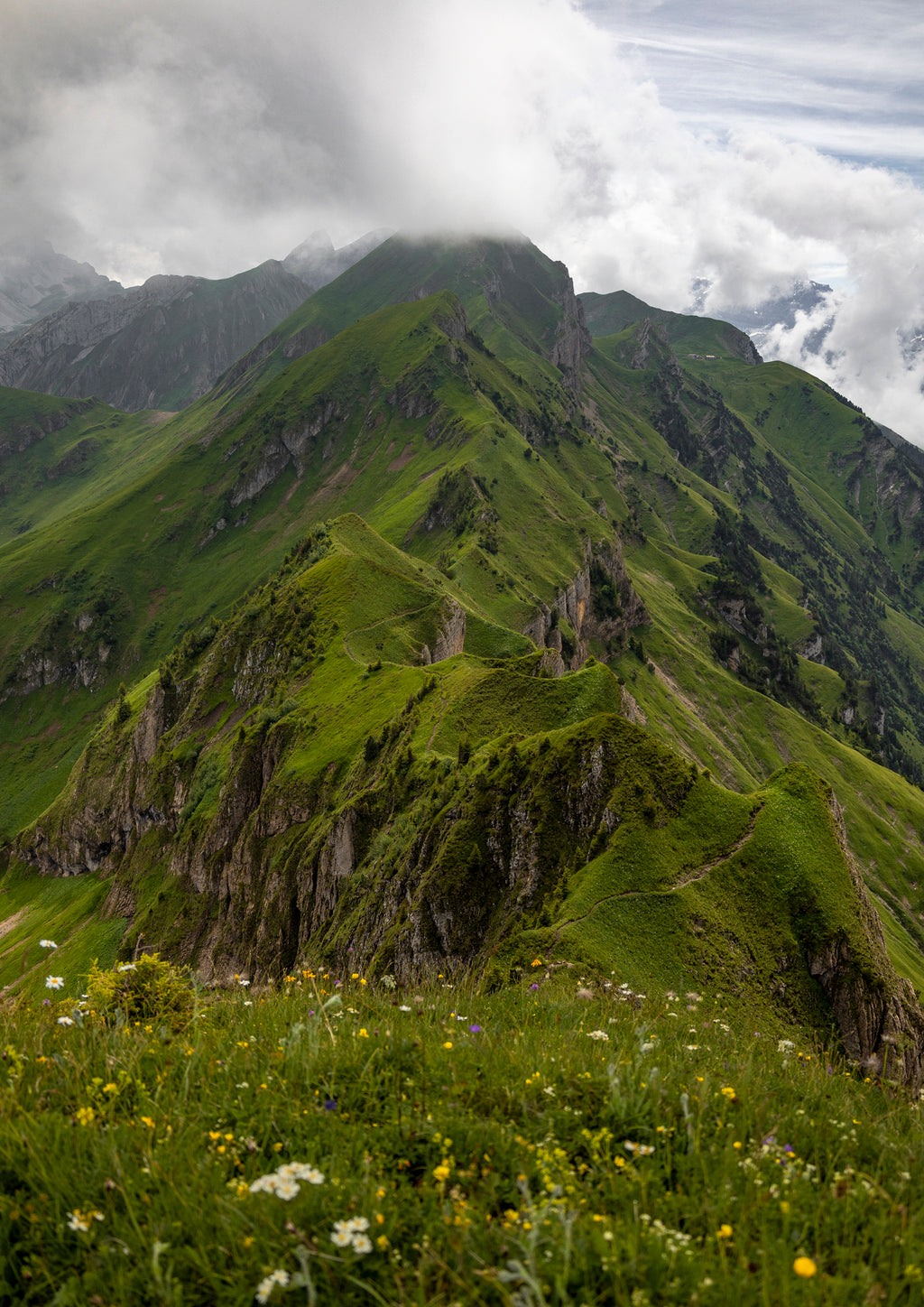 Ridgeline