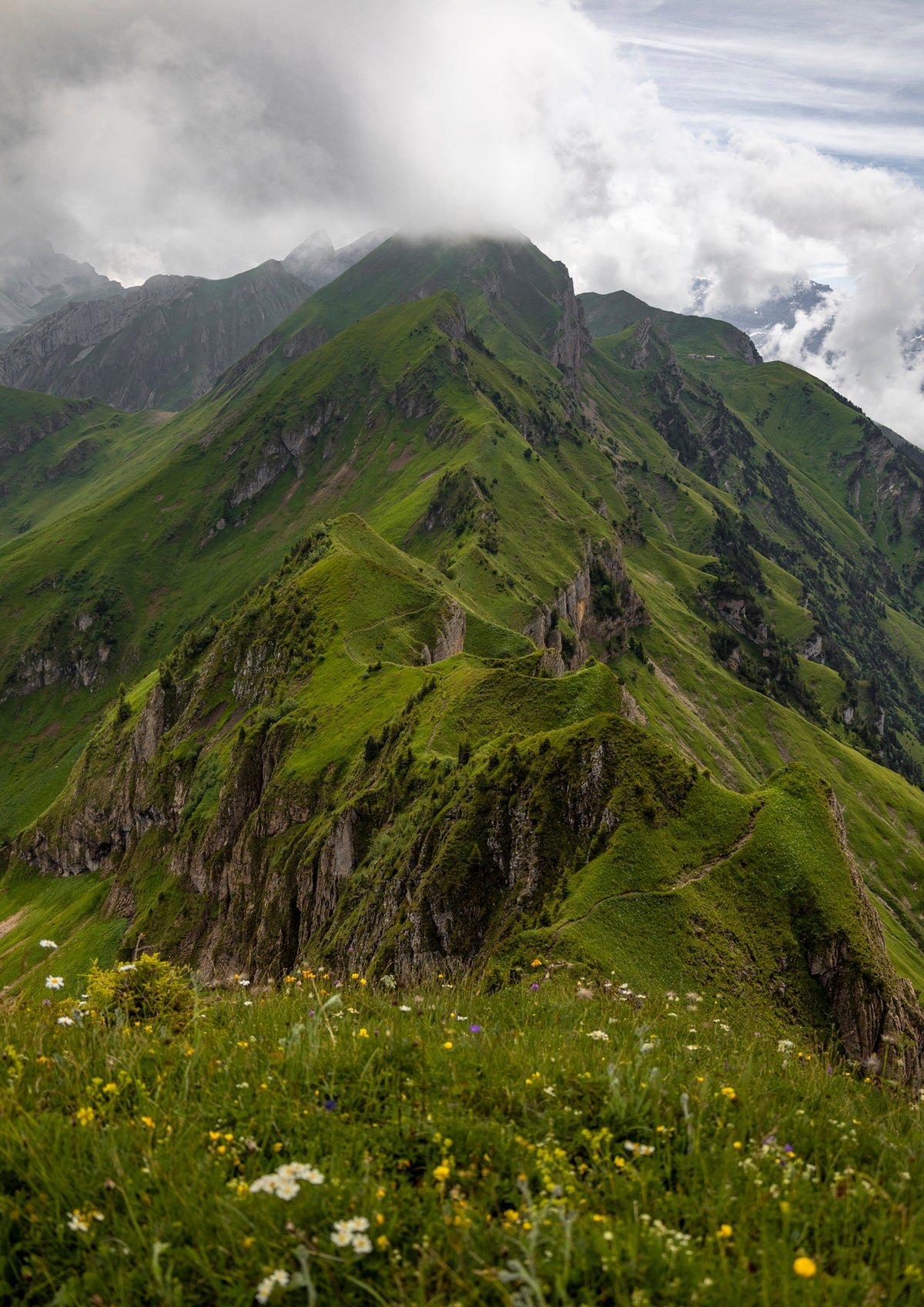 Ridgeline