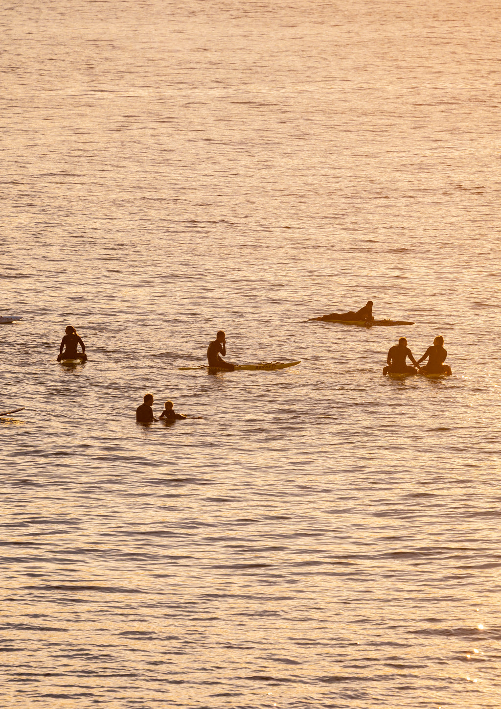 Sharing Sunrise
