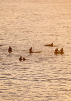 Sharing Sunrise