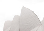 Spine