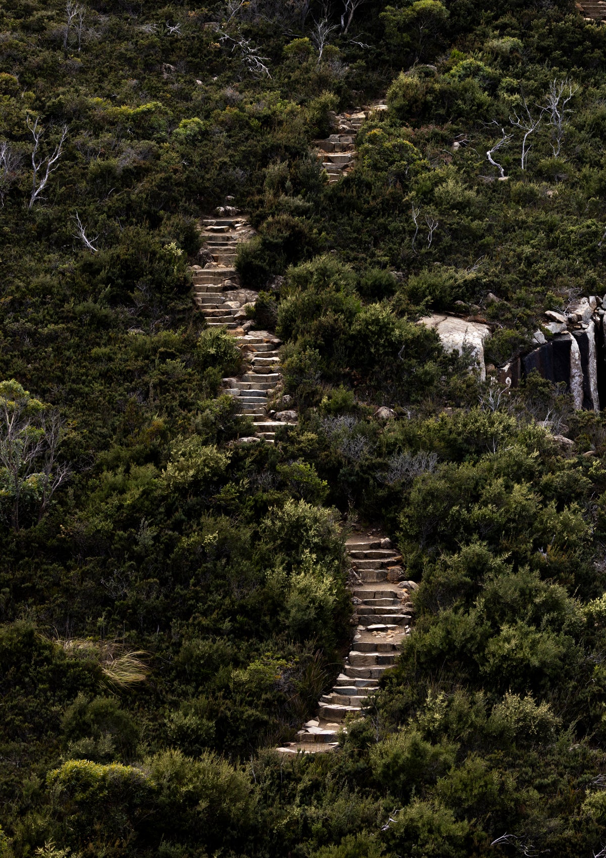 Stairway to Heaven