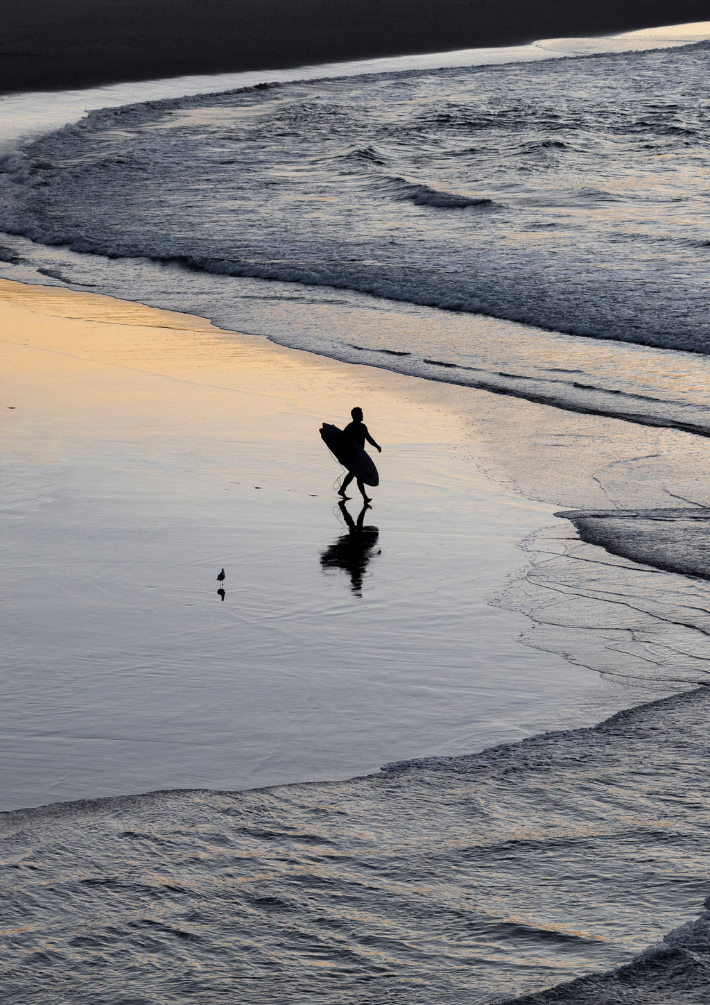 Sunrise Swell
