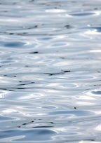 Surface Tension
