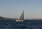 Sydney Sailing