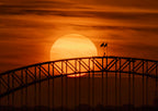 Sydney's Summit