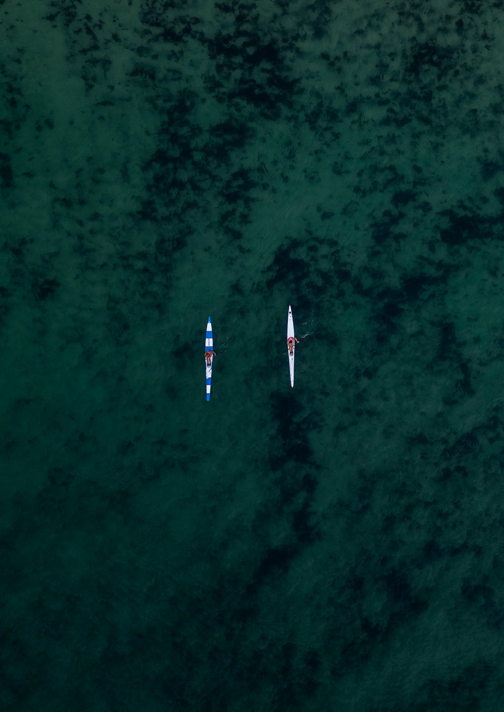 Two surfskis returning to shore side-by-side in Bondi Beach, Sydney, Australia