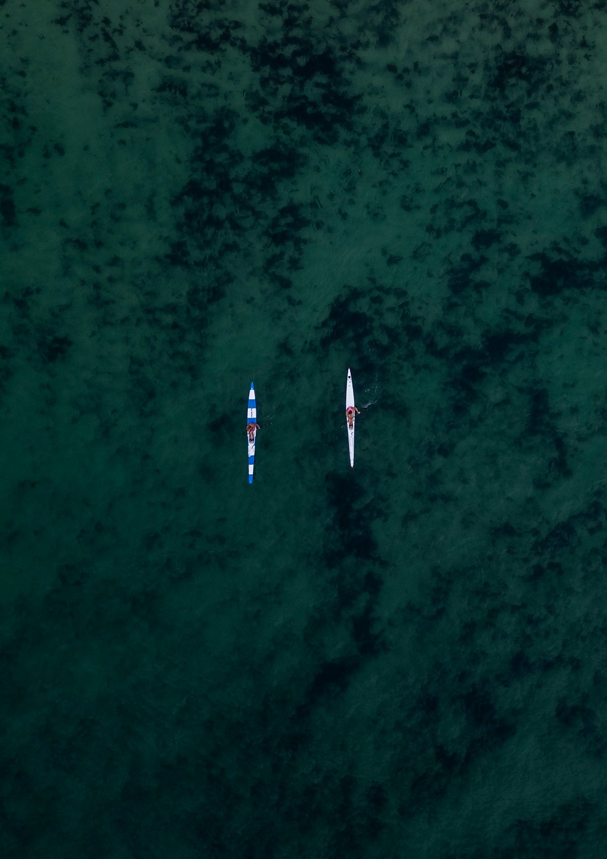 Two surfskis returning to shore side-by-side in Bondi Beach, Sydney, Australia