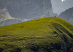 The Hills are Alive