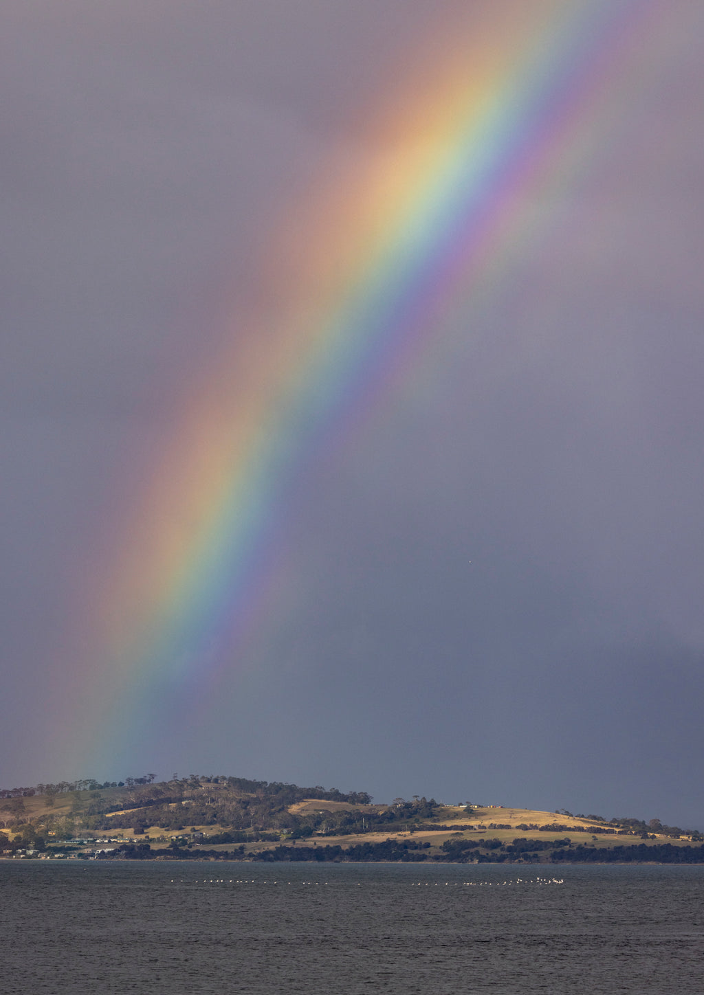 Triple Bow
