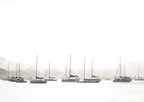Whiteout