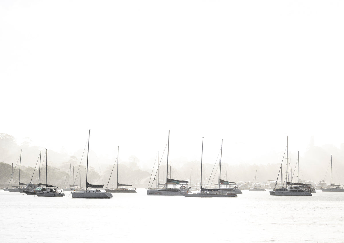 Whiteout