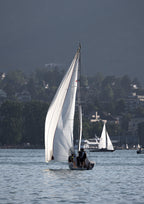 Zurich Zephyr